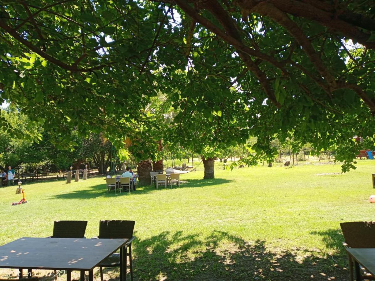 Ferienwohnung Erdem Ciftligi/ Ephesus Arena Selçuk Exterior foto