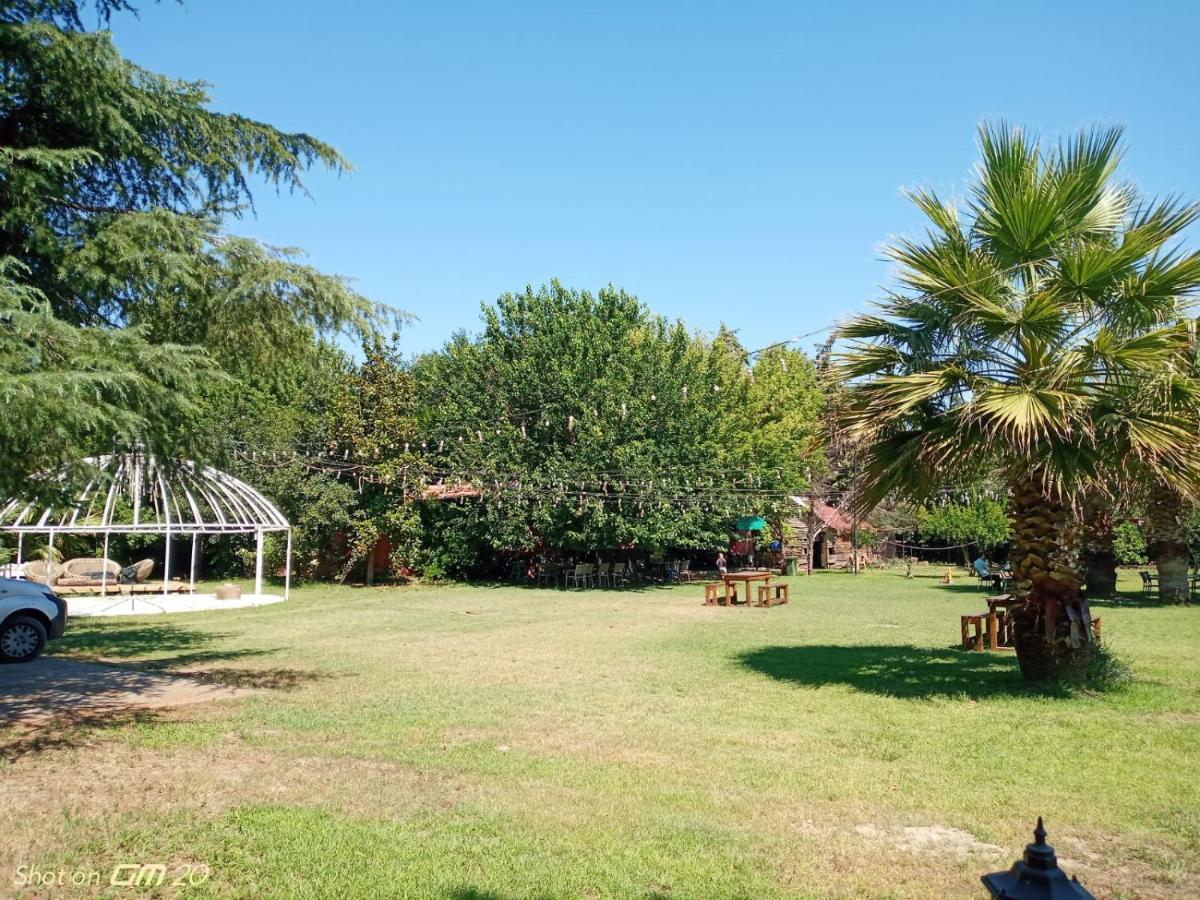 Ferienwohnung Erdem Ciftligi/ Ephesus Arena Selçuk Exterior foto