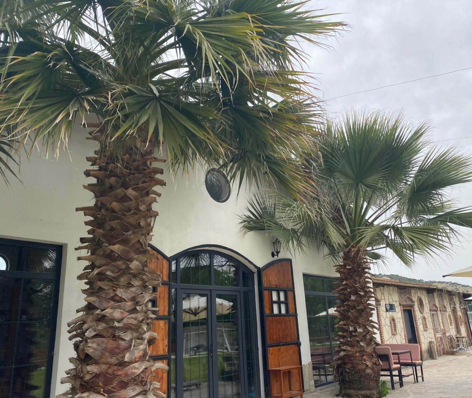 Ferienwohnung Erdem Ciftligi/ Ephesus Arena Selçuk Exterior foto