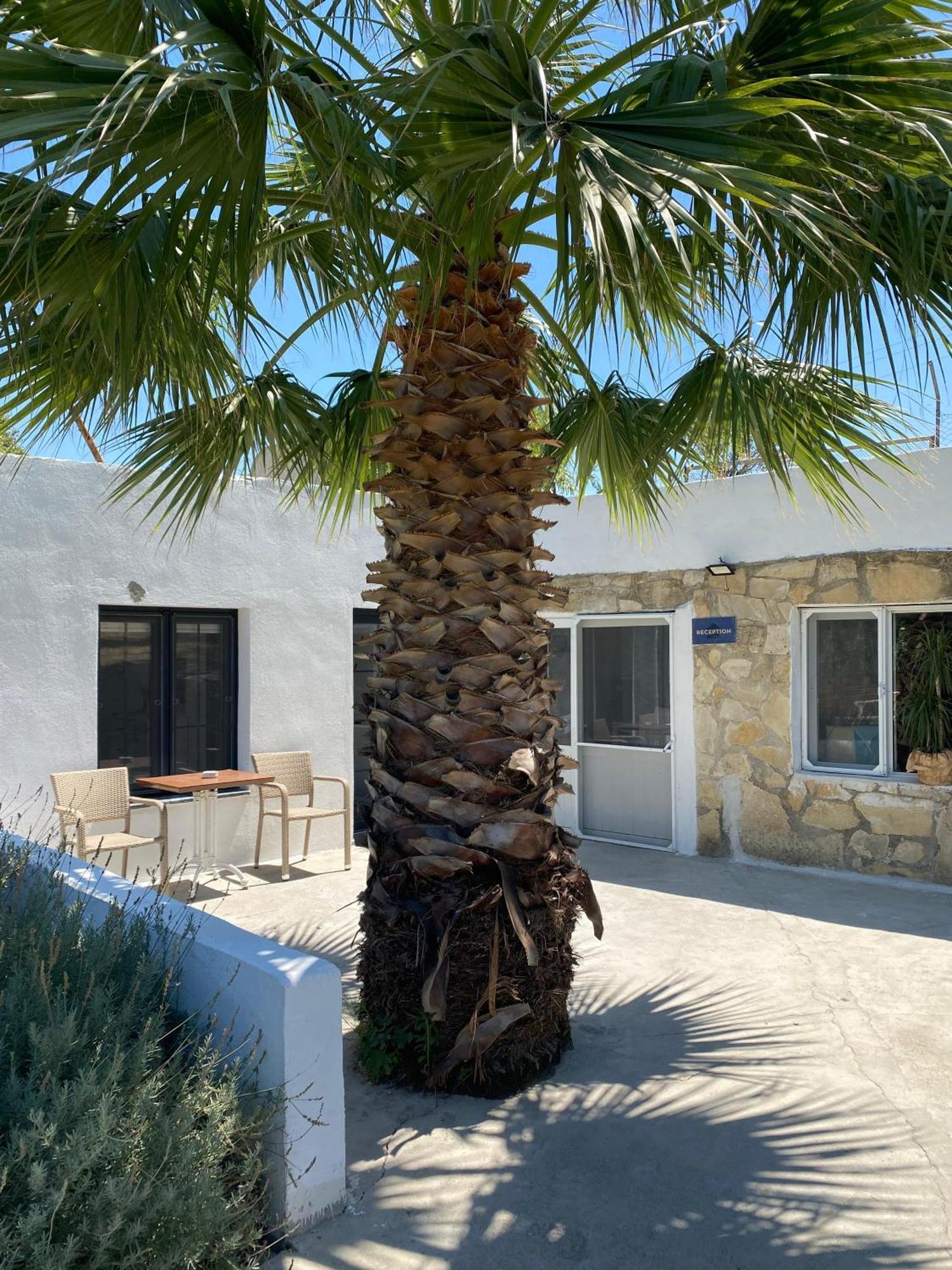 Ferienwohnung Erdem Ciftligi/ Ephesus Arena Selçuk Exterior foto