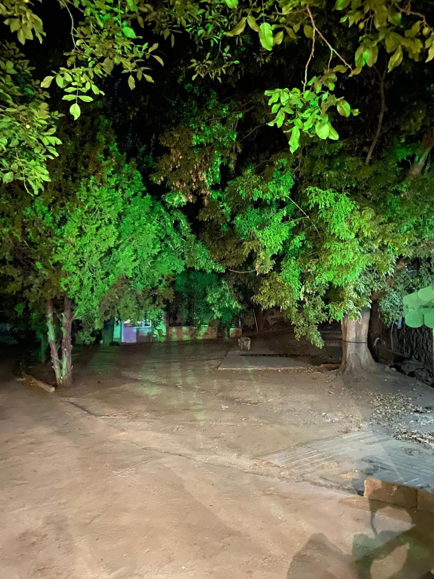 Ferienwohnung Erdem Ciftligi/ Ephesus Arena Selçuk Exterior foto